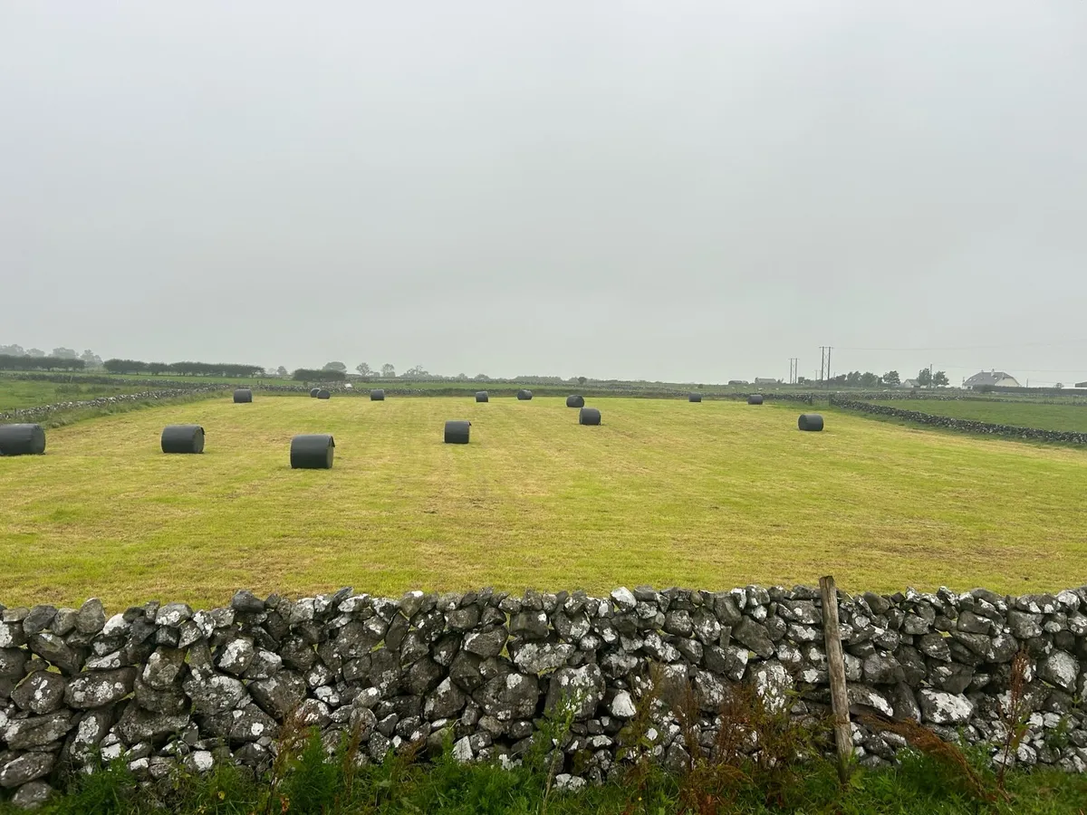 Bales of haylage - Image 1