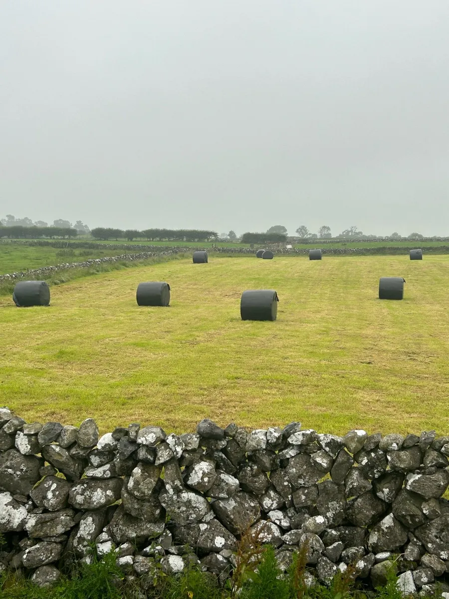 Bales of haylage - Image 2