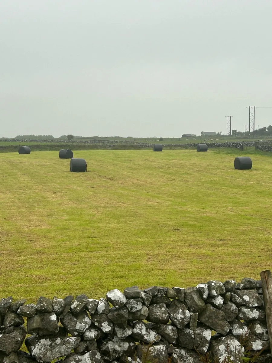 Bales of haylage - Image 3