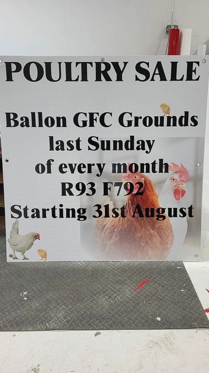 Poultry Sale