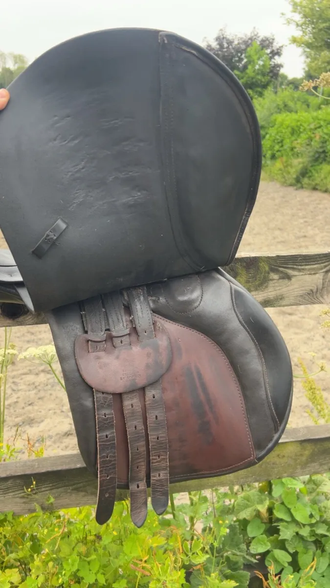 Berney Bros 16.5 Medium Gullet - Image 3