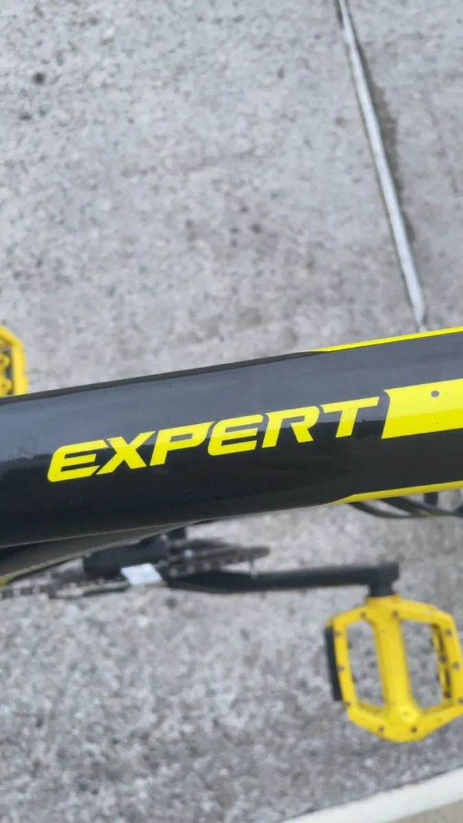 Gt avalanche expert 2015 - Image 3