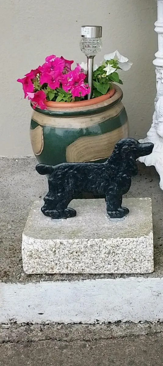 Dog boot scraper set in granite stone - Image 1