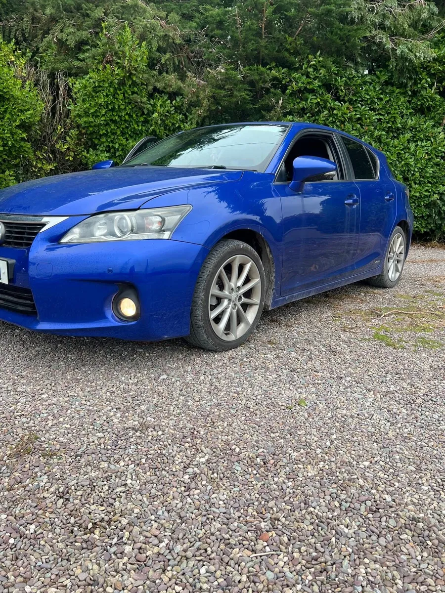 Hybrid - Image 1