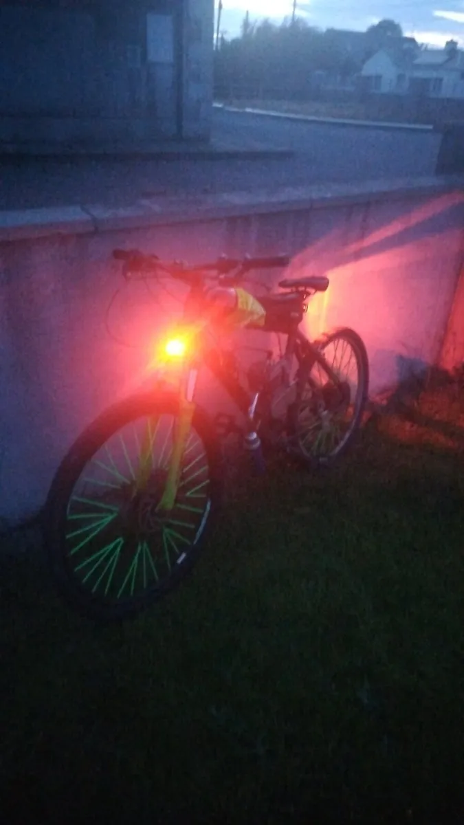 Engine bike 80cc (motorized bicycle) - Image 2