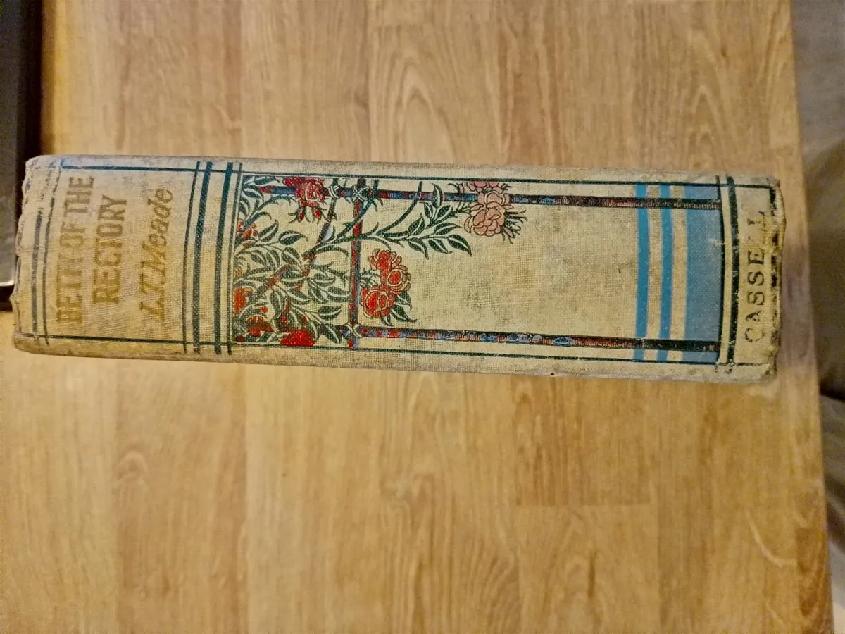 Antique Book L T Meade Bandon Cork Interest - Image 3