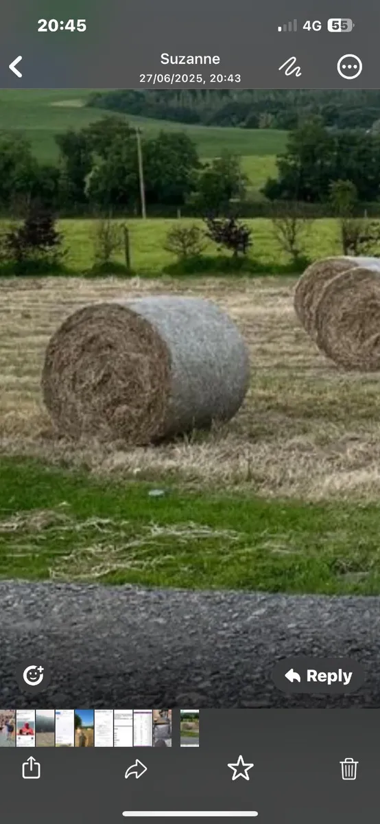 Round hay bales