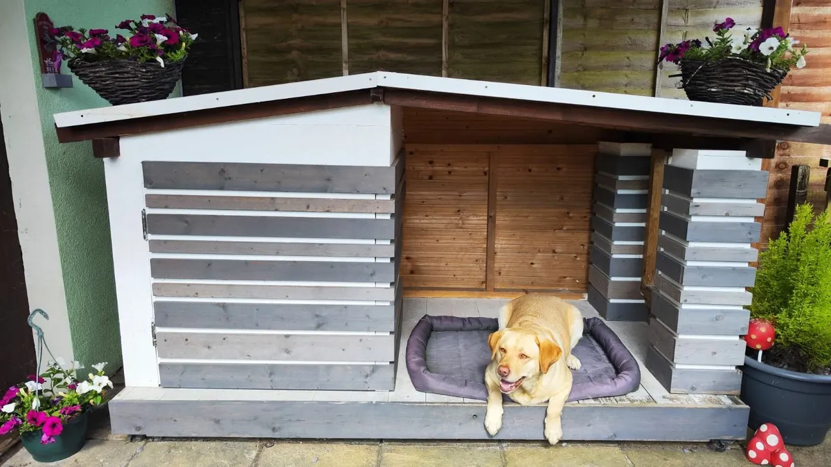 Dog house - Image 3
