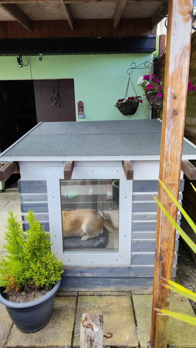 Dog house - Image 4