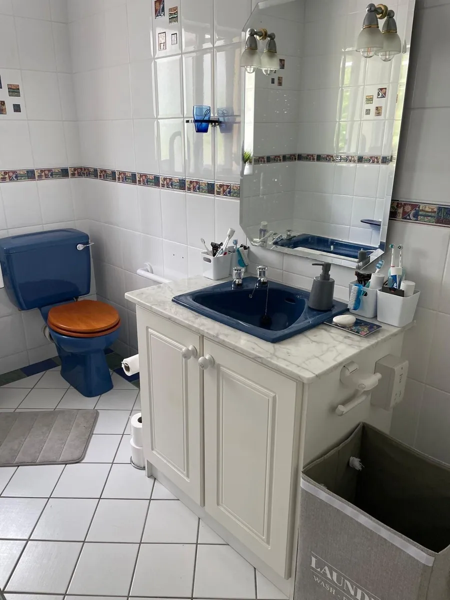 sink / toilet