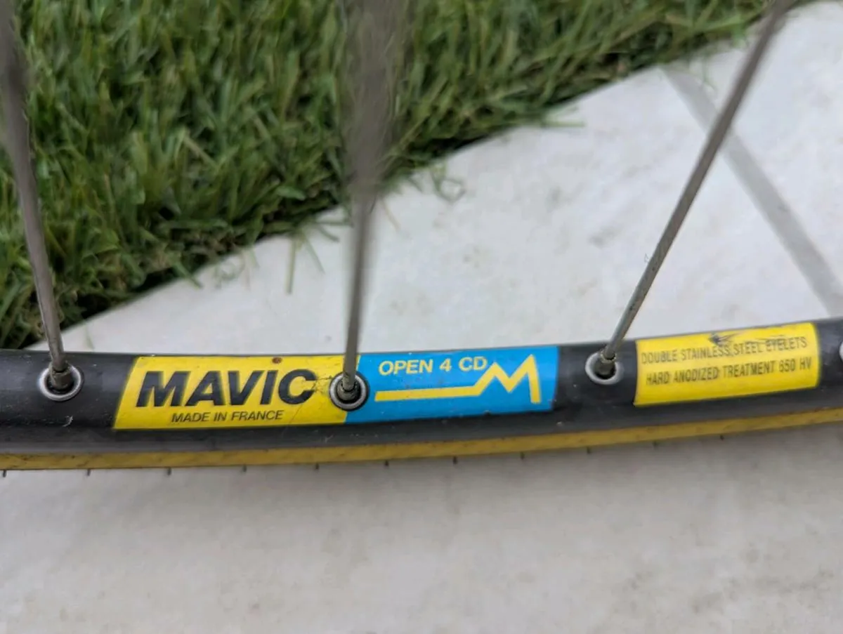 Olmo Scatto SL Tubing and Fork - Image 4