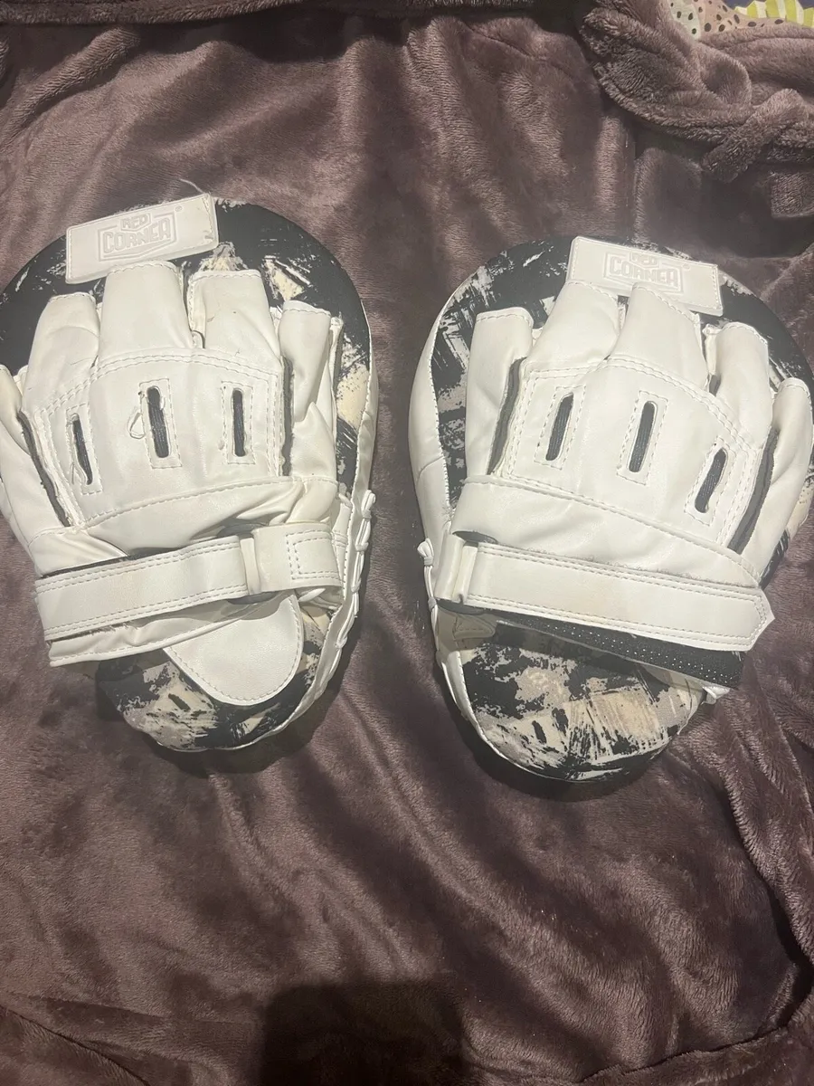 Boxing pads - Image 1