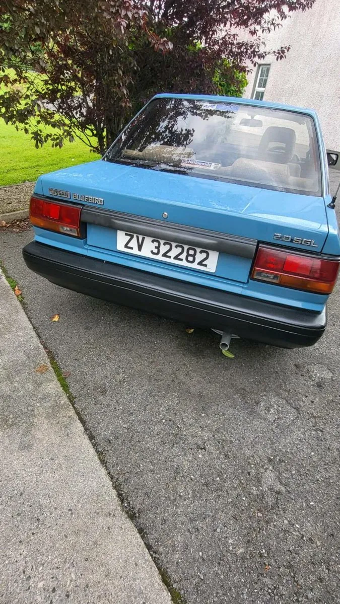 Nissan Bluebird - Image 4
