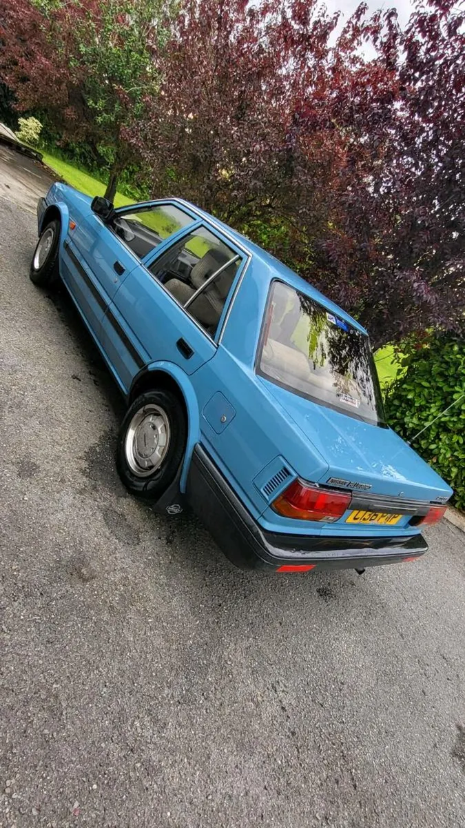 Nissan Bluebird - Image 1