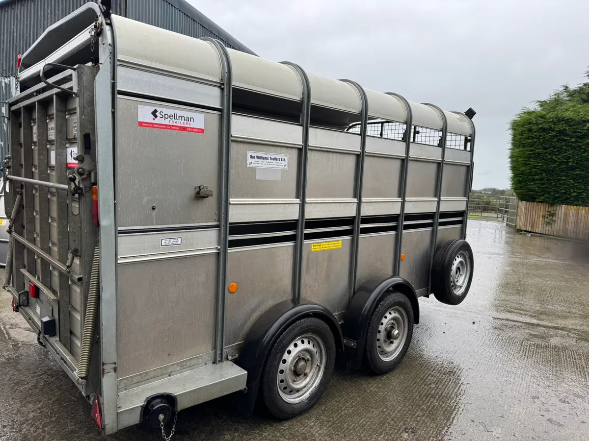 Ifor Williams livestock trailer - Image 4