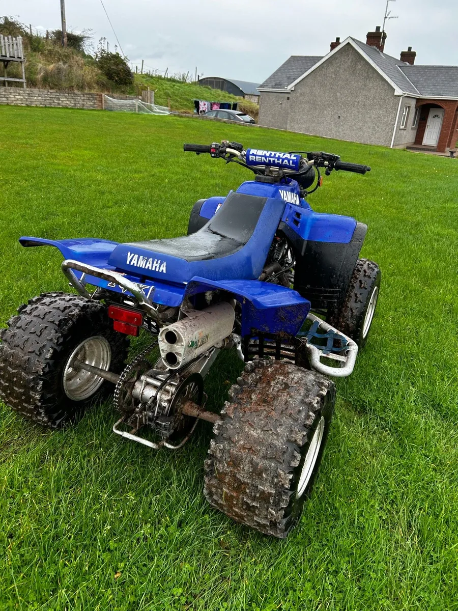 Quad for sale - Image 4