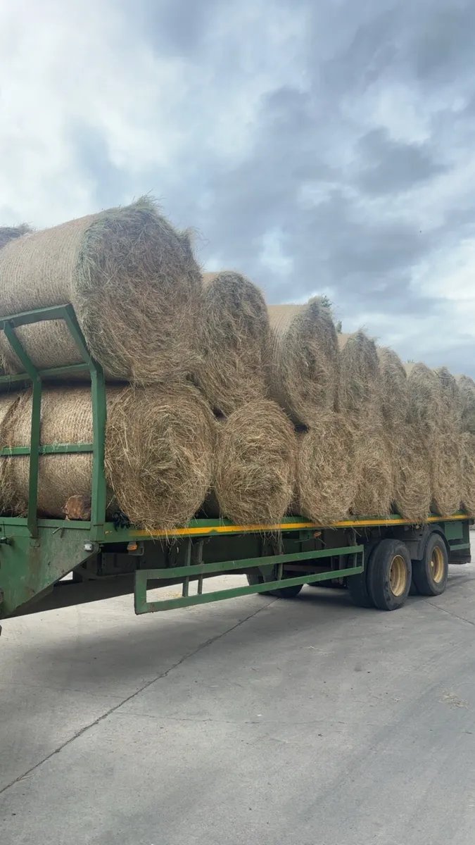 Top quality hay - Image 1