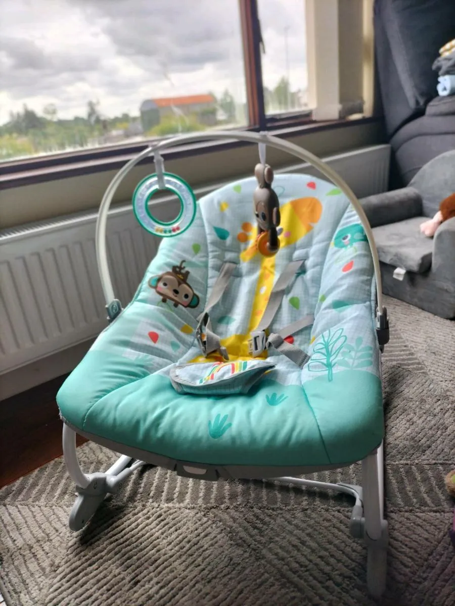 Baby bouncer chair - Image 1