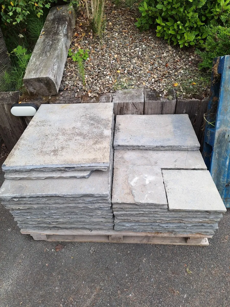Limestone paving - Image 3