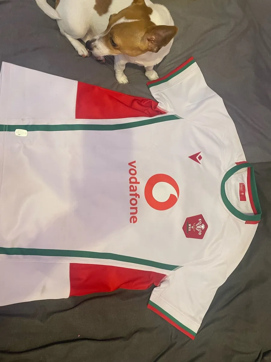 Welsh rugby jersey - Image 1