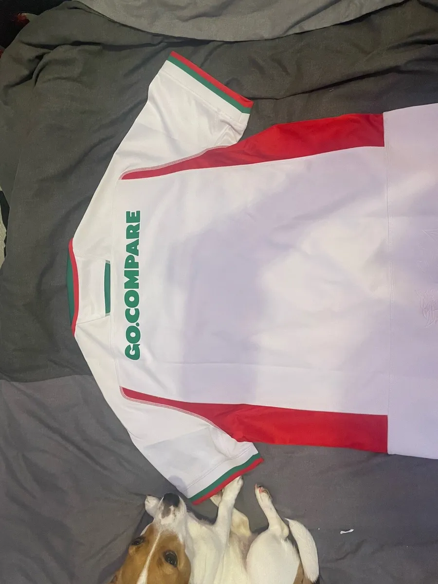 Welsh rugby jersey - Image 4