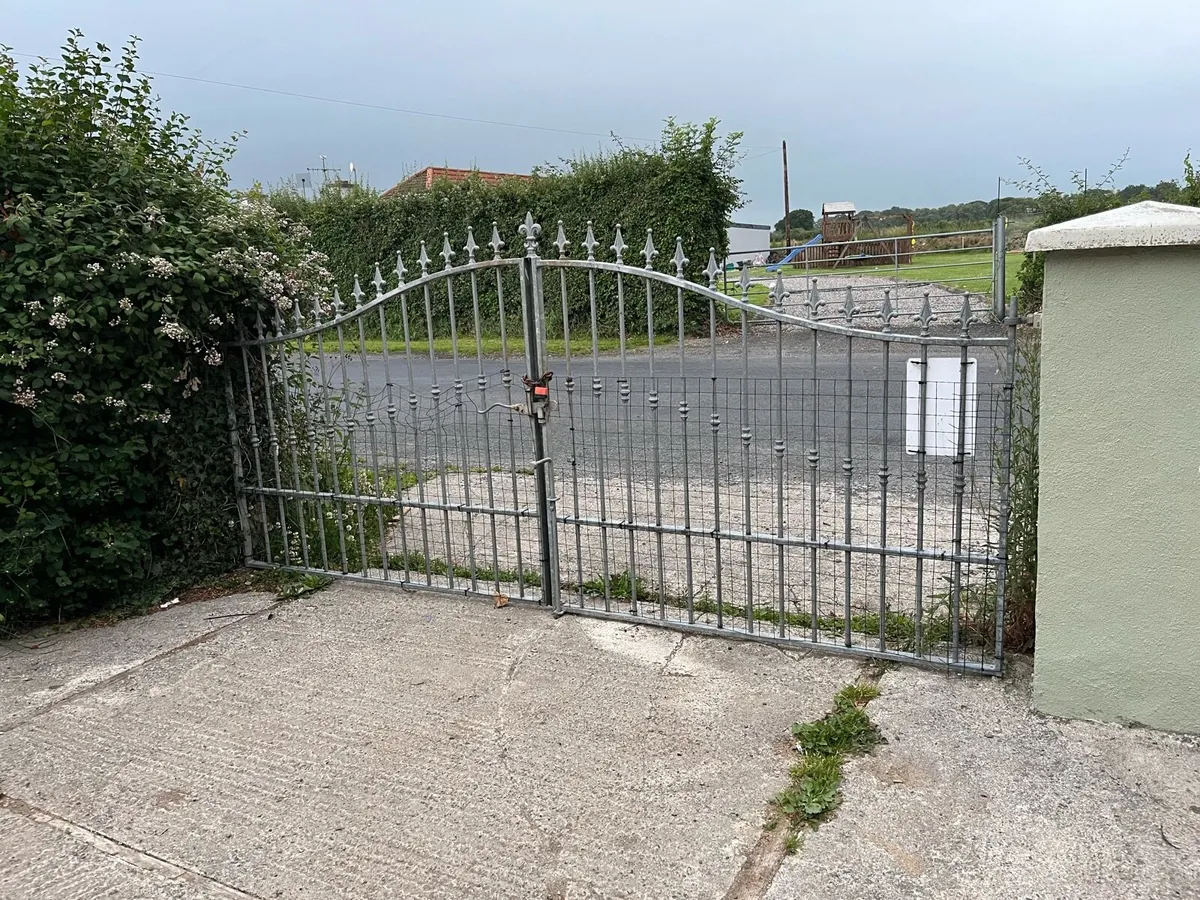 Galvanise gates and 2 railings - Image 1