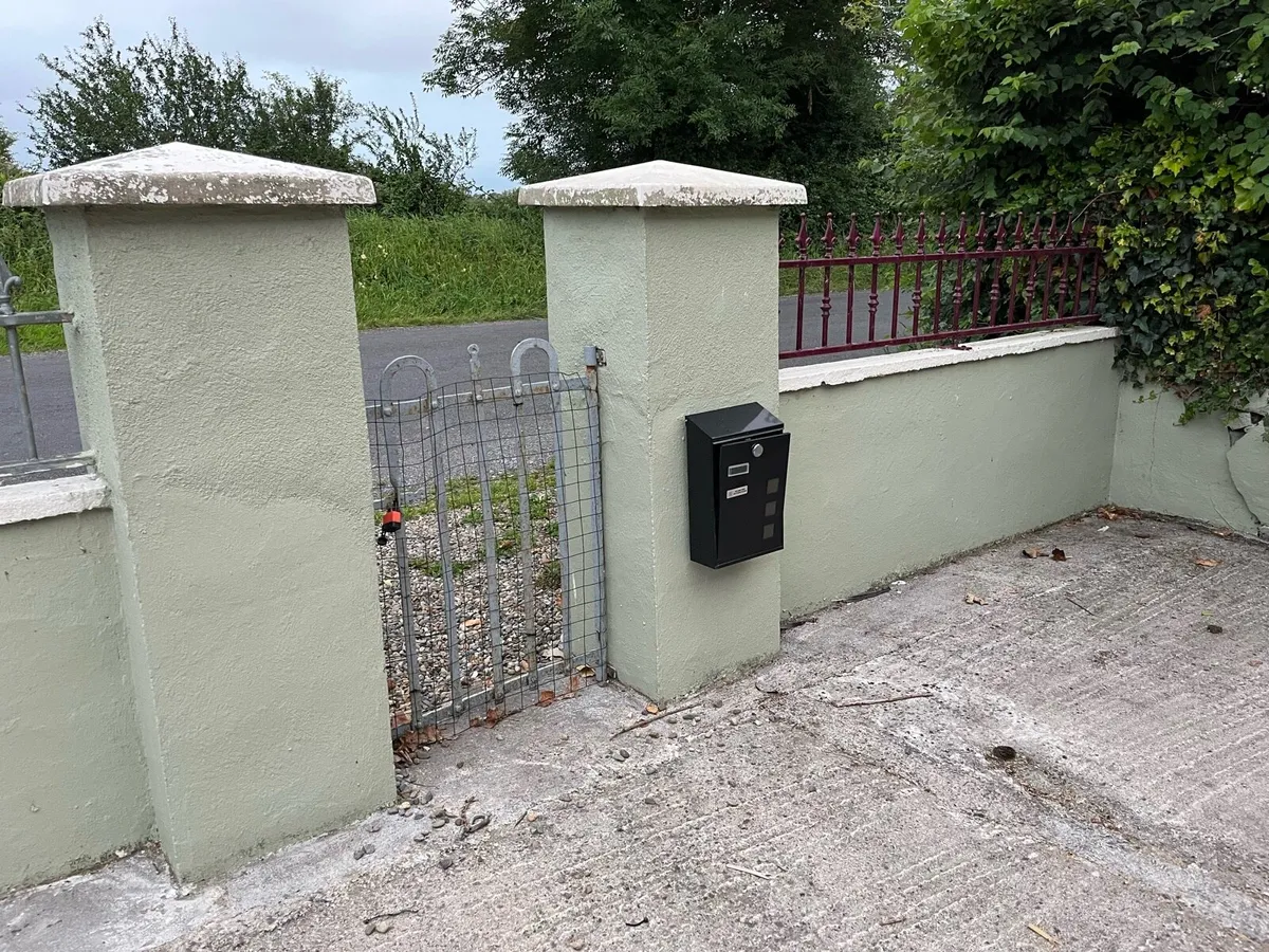 Galvanise gates and 2 railings - Image 2