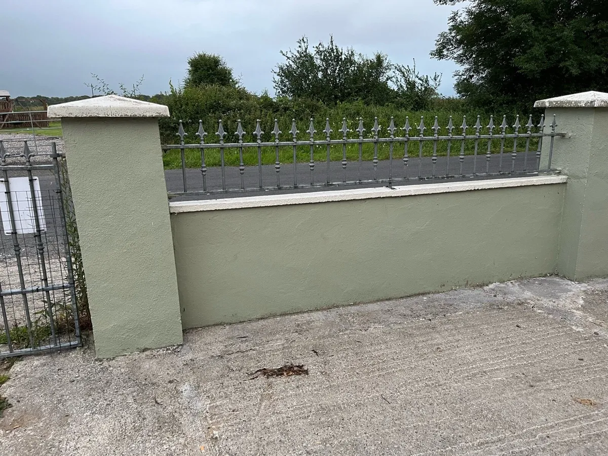 Galvanise gates and 2 railings - Image 3