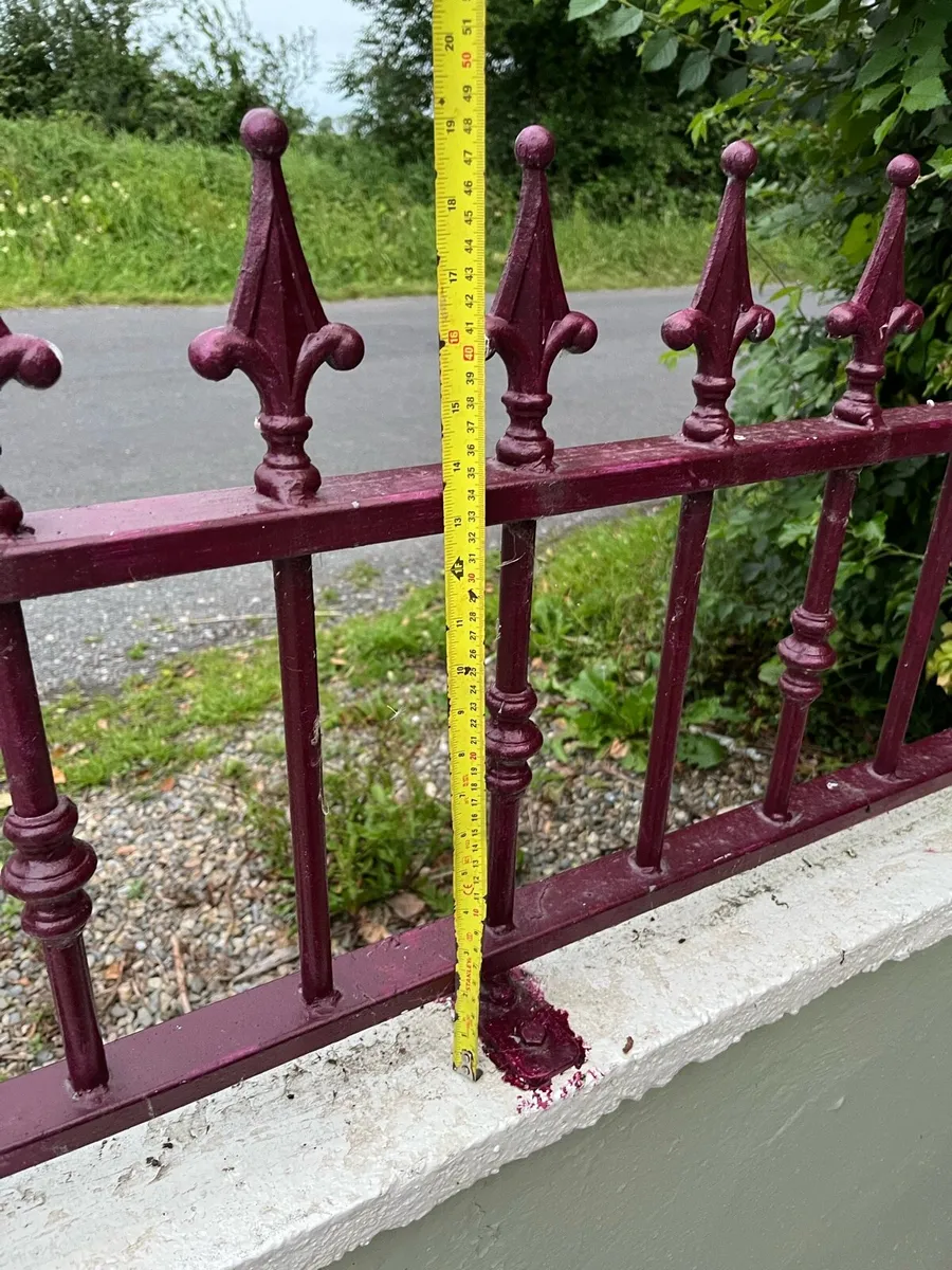 Galvanise gates and 2 railings - Image 4