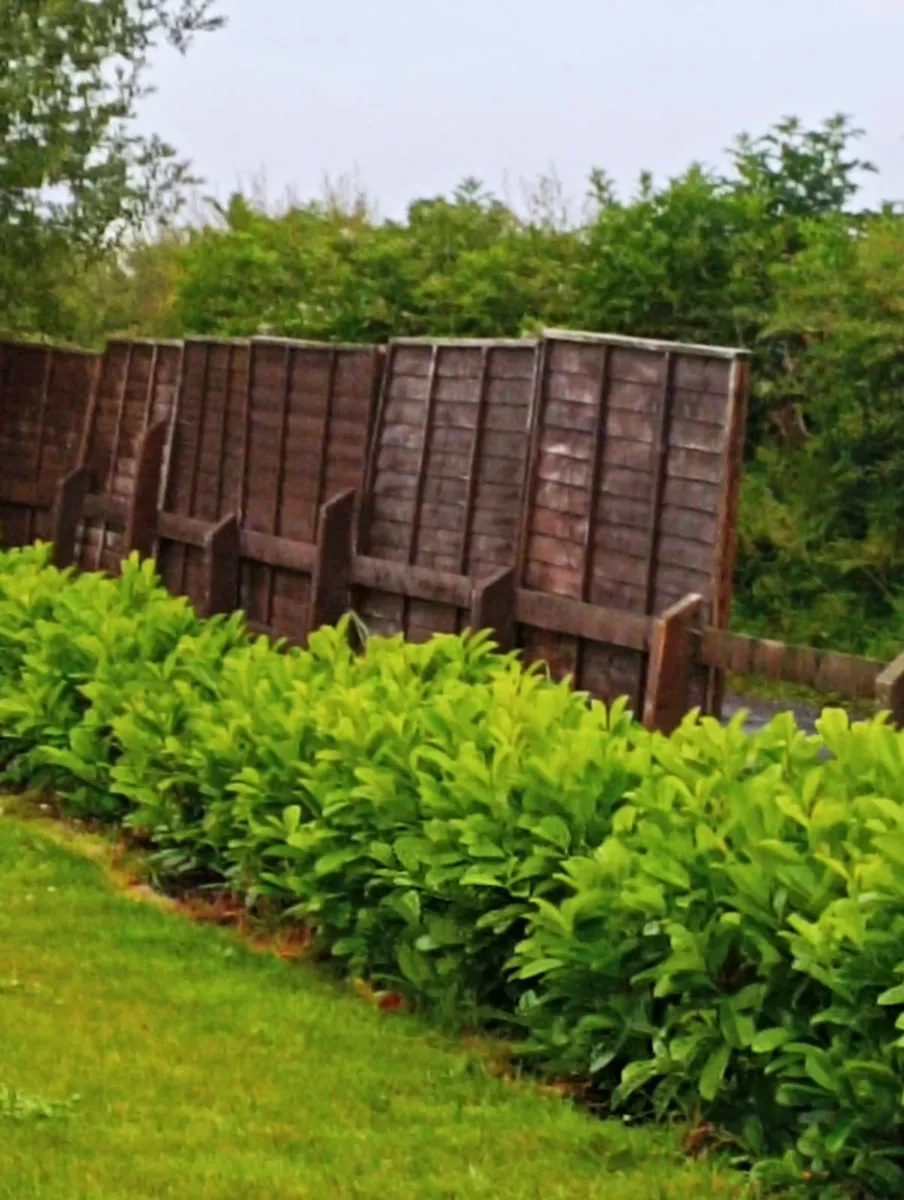 22 x Wooden panels - Image 1