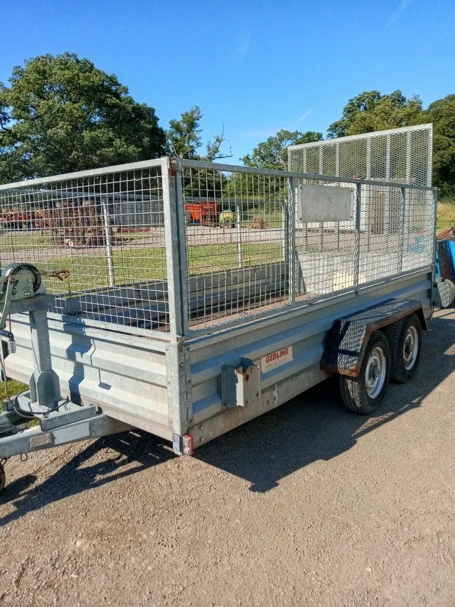 Quality plant trailer 12 x4 - Image 1