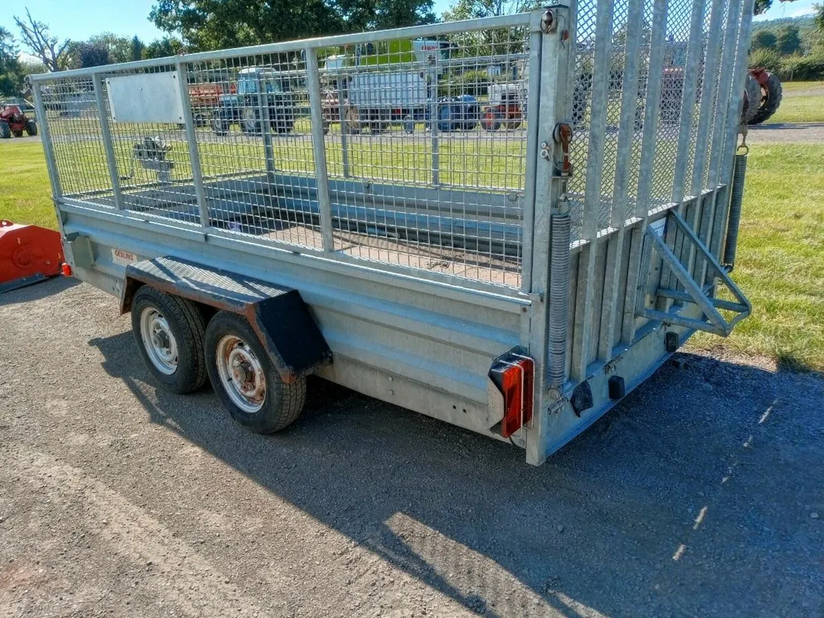 Quality plant trailer 12 x4 - Image 2