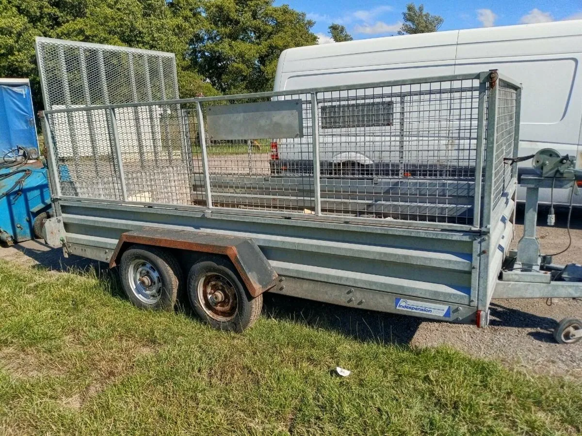 Quality plant trailer 12 x4 - Image 4