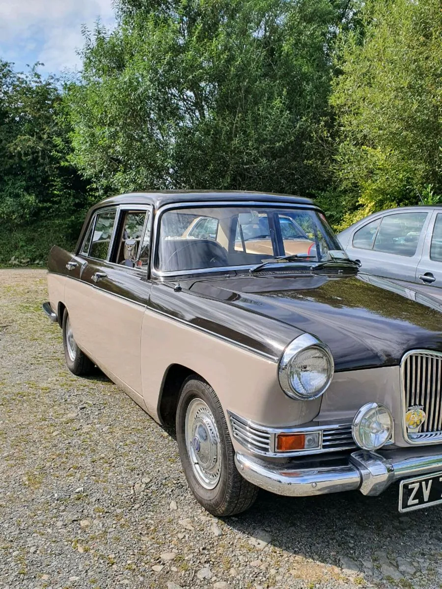 Colmcille vintage club - Image 3