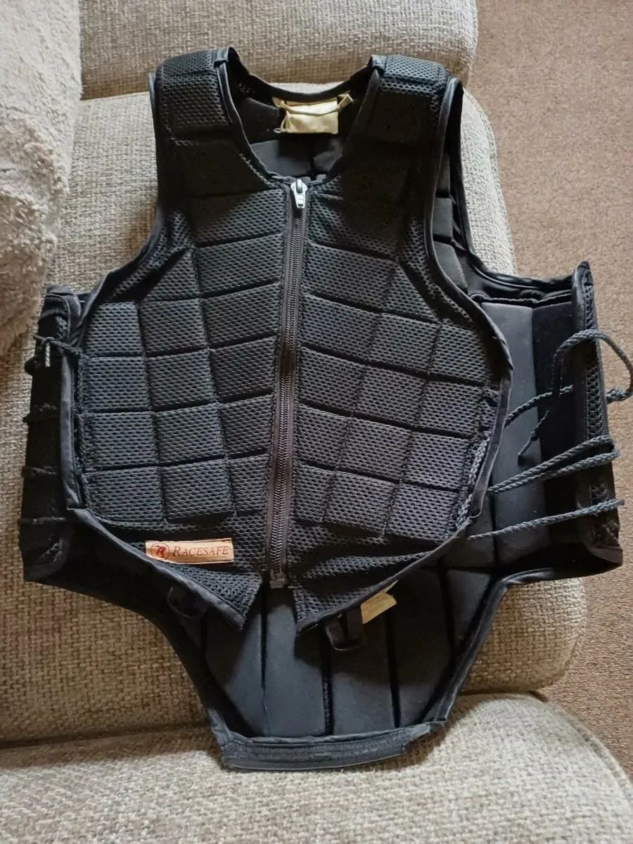 Back protector - Image 1