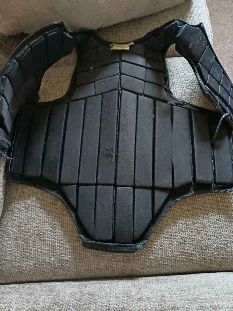 Back protector - Image 3