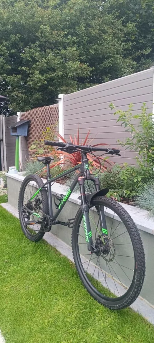 Frog kids bike - Image 1