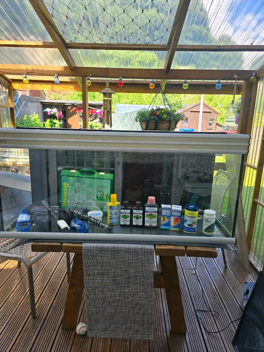 Fishtank 260l + accessories - Image 1