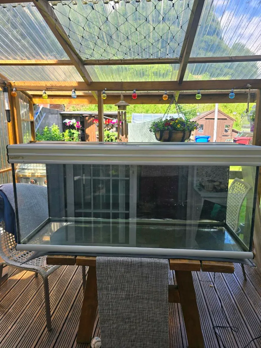 Fishtank 260l + accessories - Image 4
