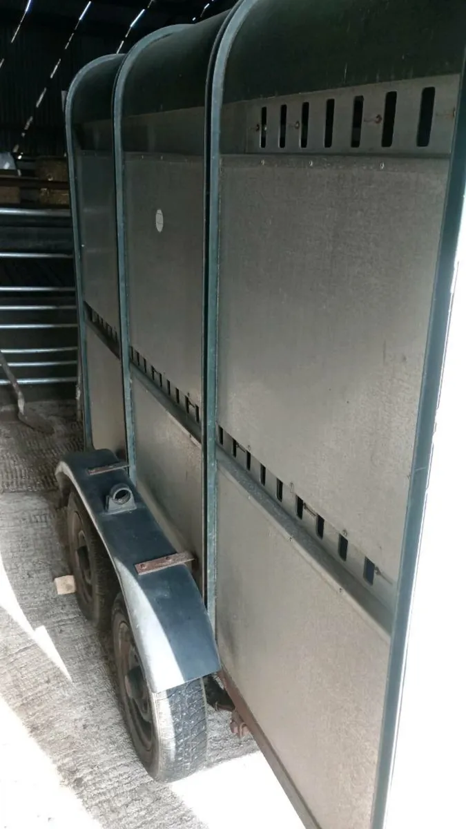 Cattle trailer - Image 3
