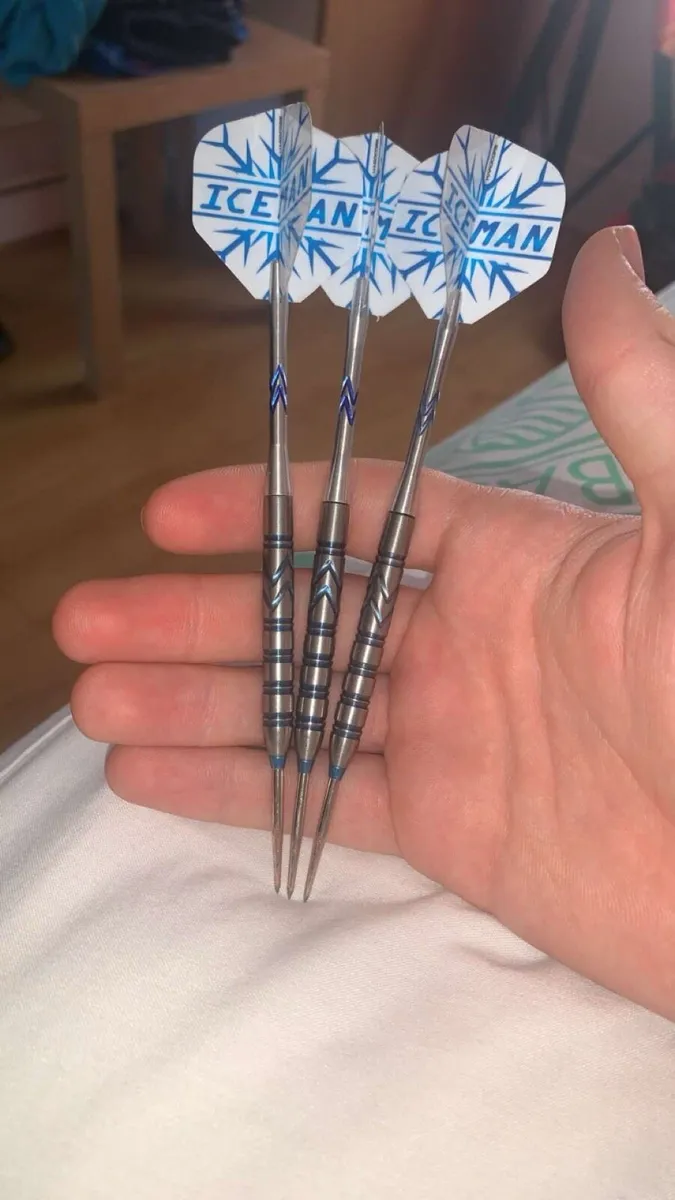 Gerwyn price darts - Image 2