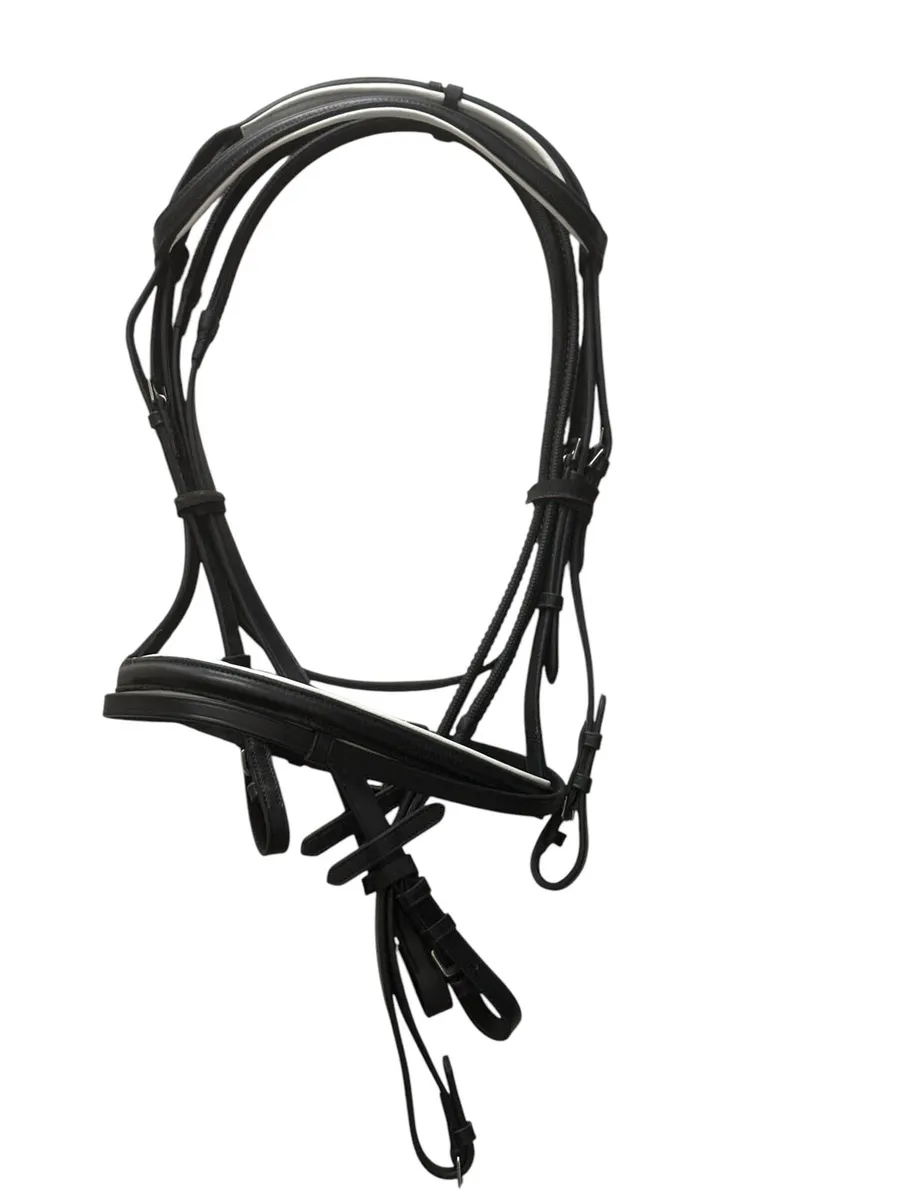 Bridle - Image 1