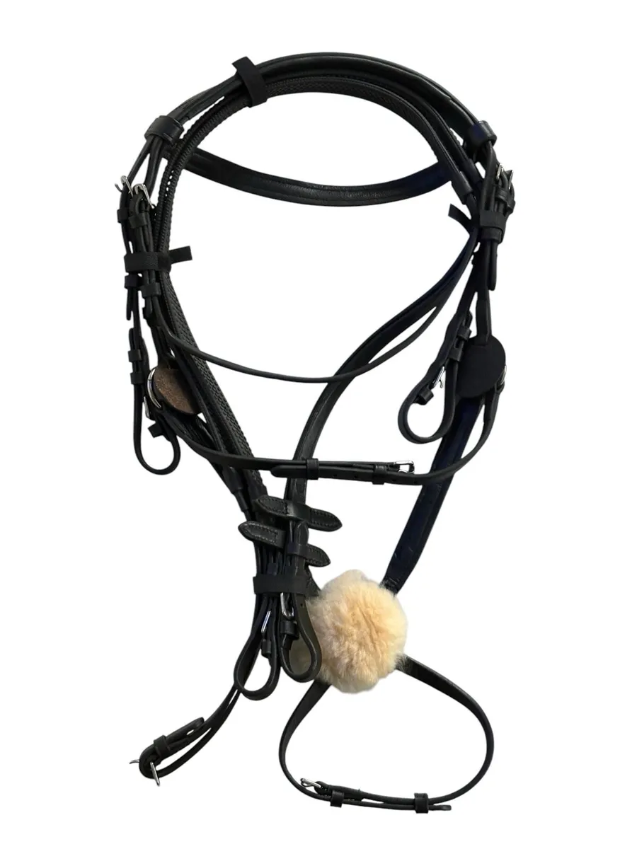Bridle - Image 2