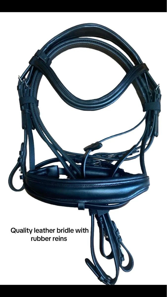 Bridle - Image 3