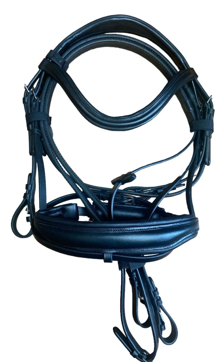 Bridle - Image 4