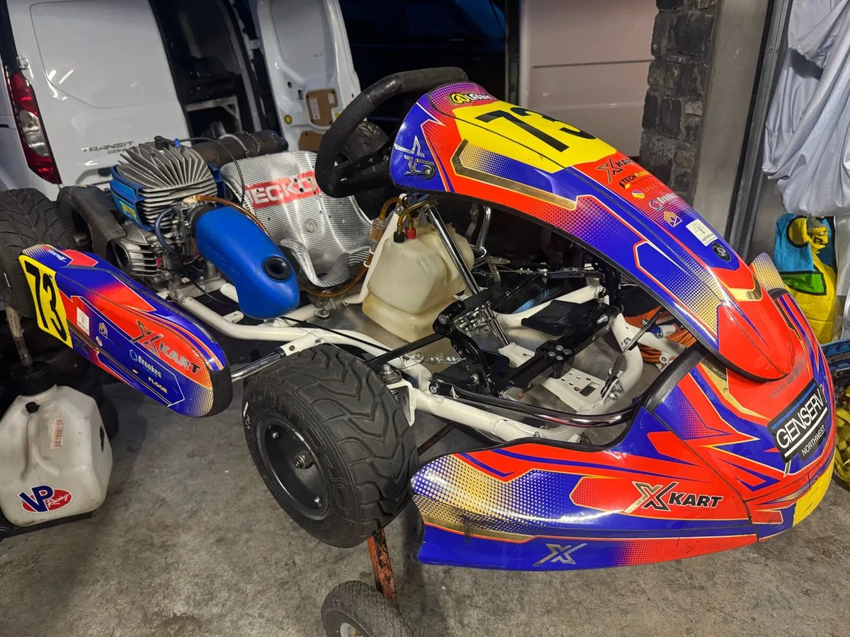 X kart 950 cadet Iame - Image 1
