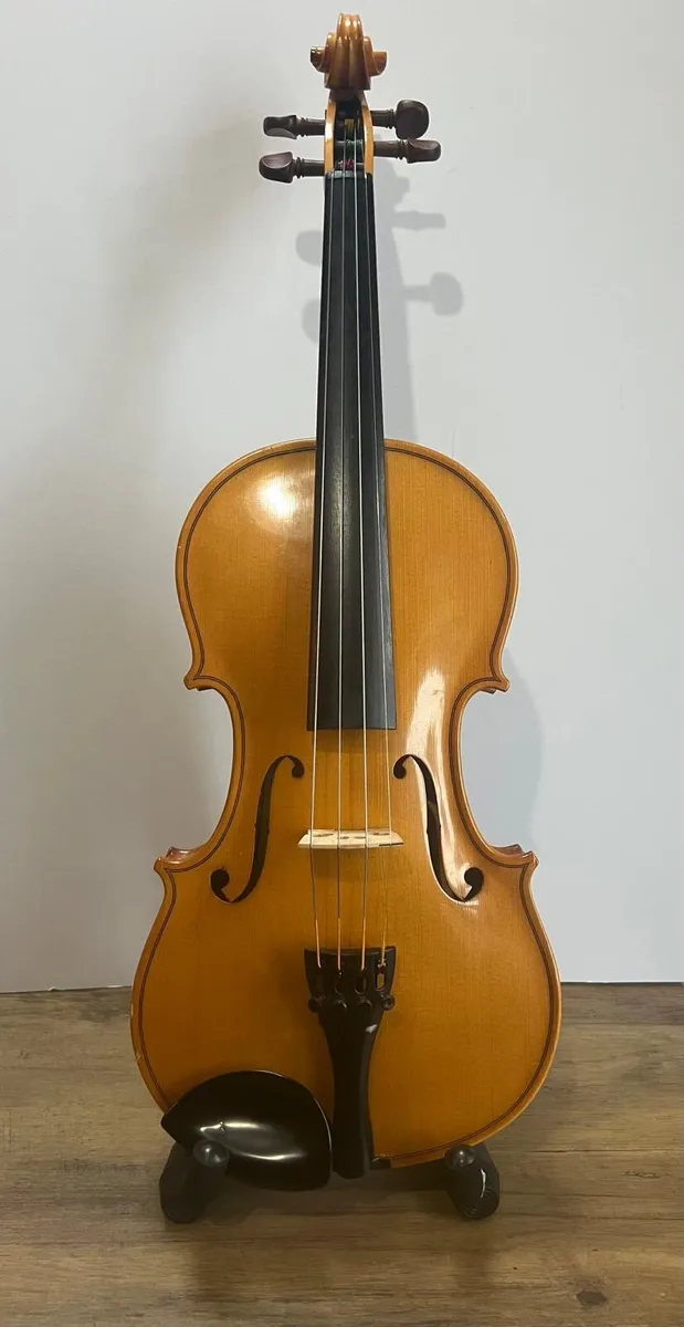 Outstanding violin by Reghin + case + bow - Image 3
