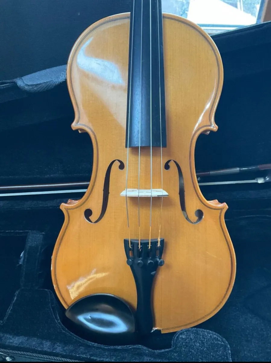 Outstanding violin by Reghin + case + bow - Image 2