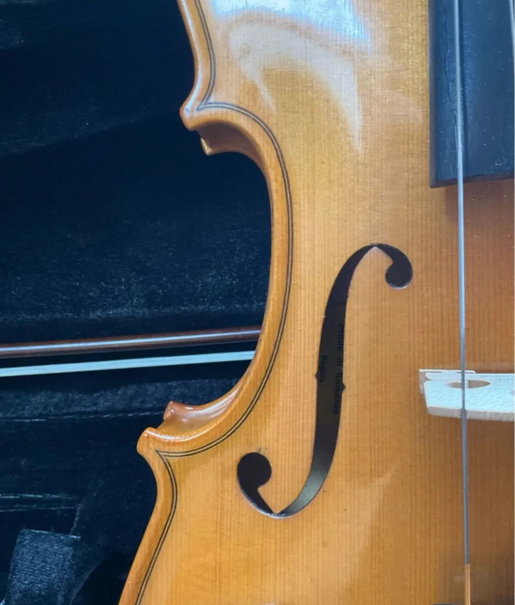 Outstanding violin by Reghin + case + bow - Image 4