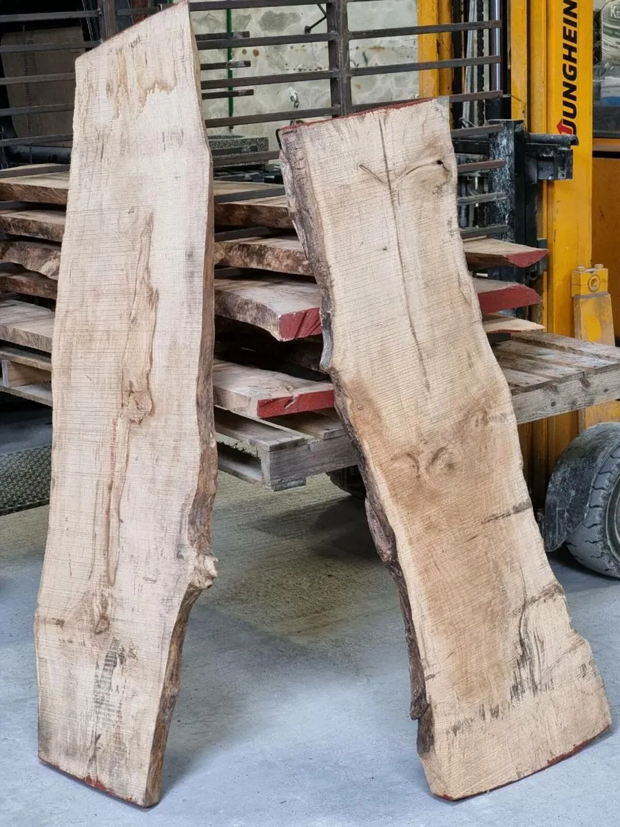 Live edge Sycamore - Image 2